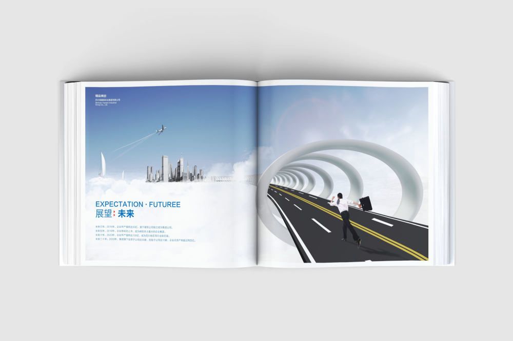 新城区画册设计